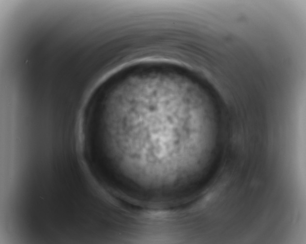 X0000088911522200706151857
