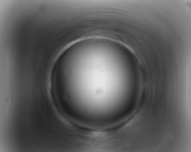 X0000088911523200706151857
