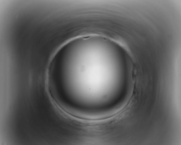 X0000088911524200706151857
