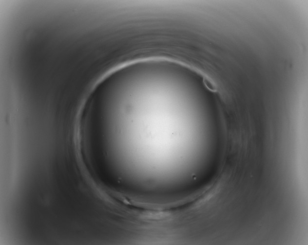 X0000088911526200706151857