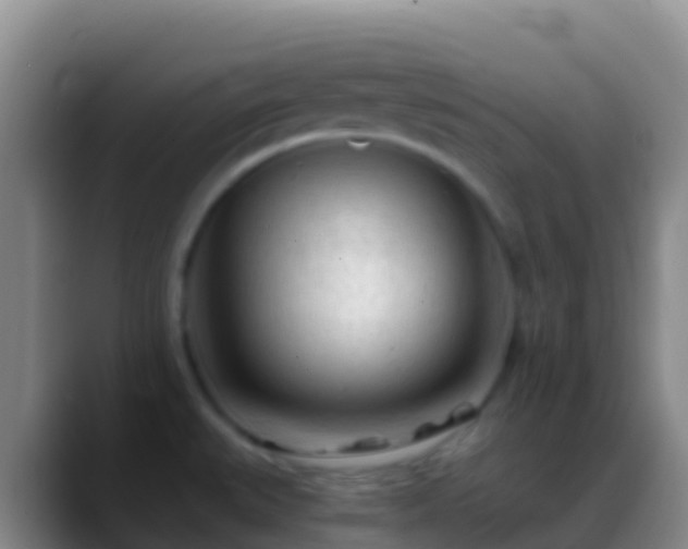 X0000088911527200706151857
