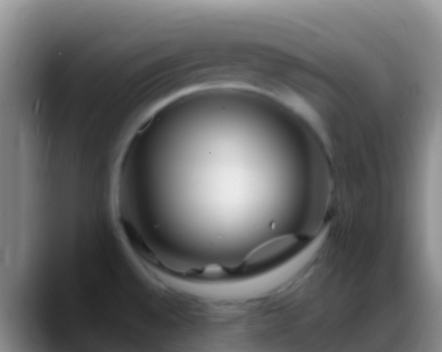X0000088911528200706151857