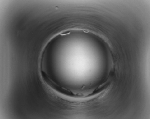 X0000088911530200706151857