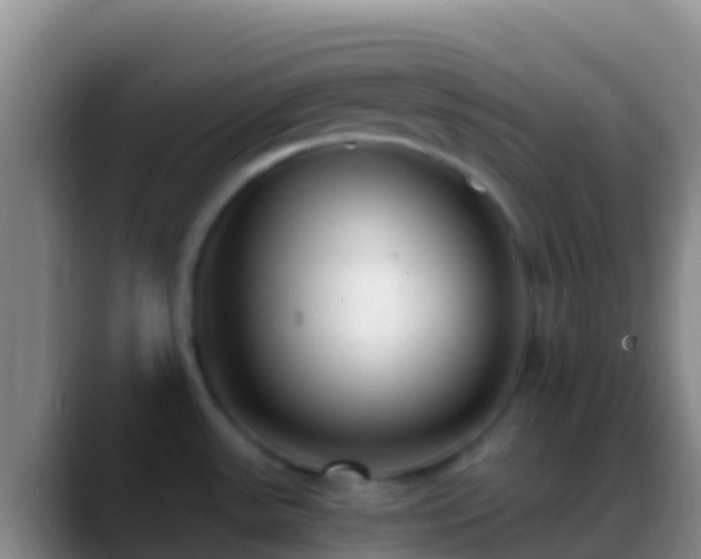 X0000088911531200706151857