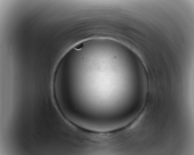 X0000088911533200706151857