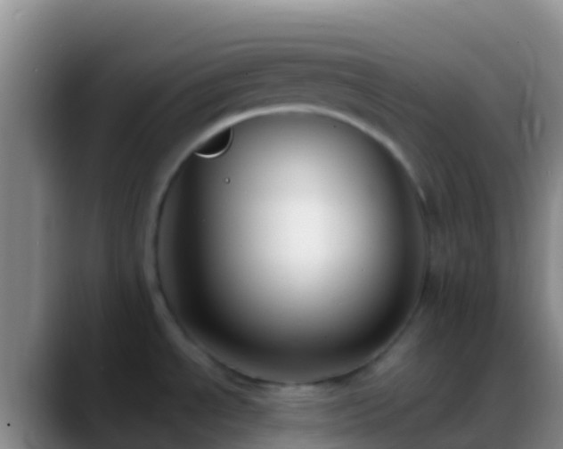 X0000088911534200706151857