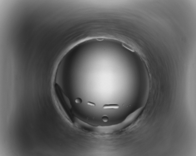 X0000088911536200706151857