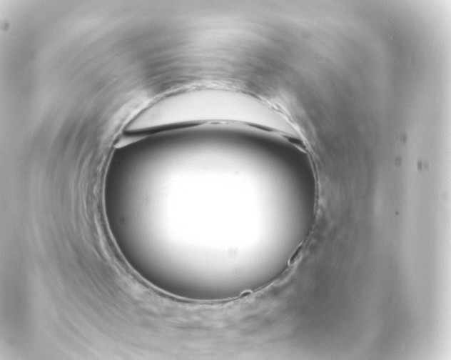 X0000088910001200706221941