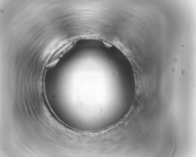 X0000088910002200706221941