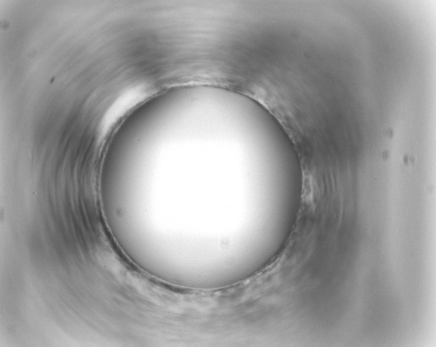 X0000088910004200706221941