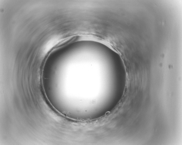 X0000088910005200706221941