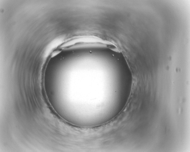 X0000088910006200706221941