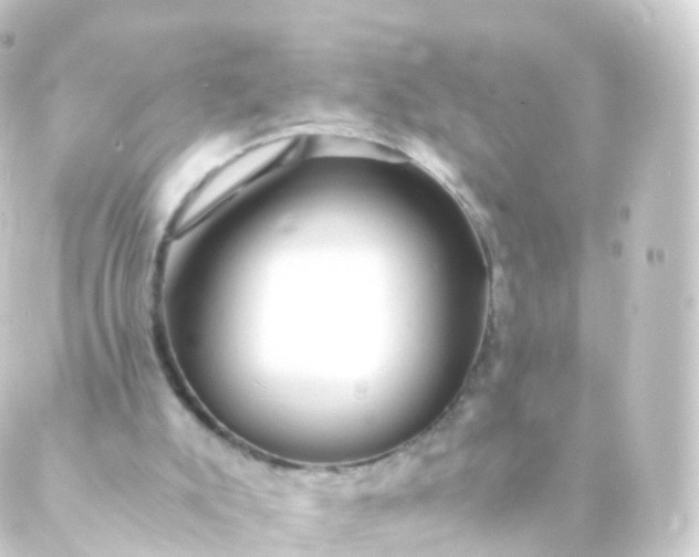 X0000088910007200706221941