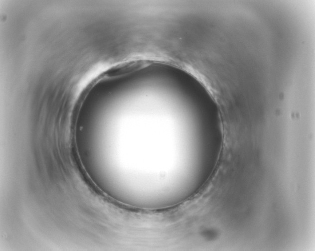 X0000088910008200706221941