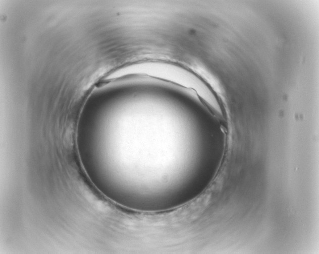 X0000088910009200706221941