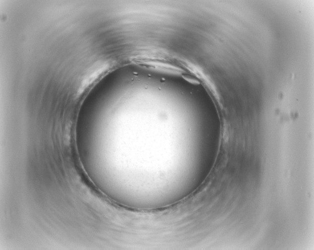 X0000088910010200706221941