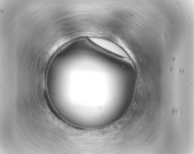 X0000088910011200706221941