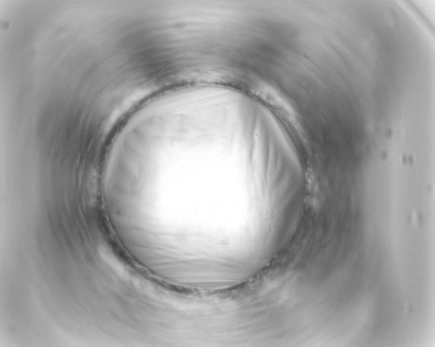 X0000088910012200706221941