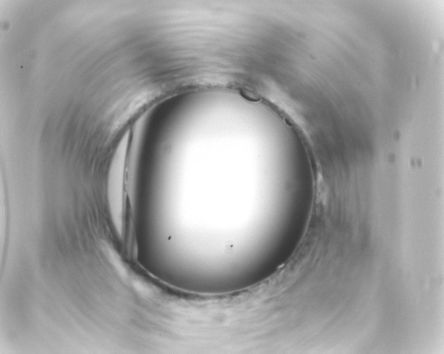 X0000088910013200706221941