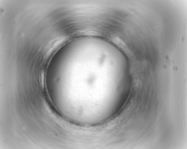 X0000088910014200706221941