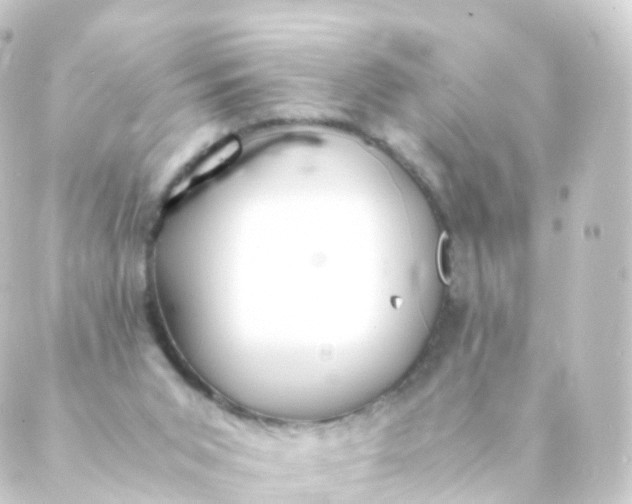 X0000088910015200706221941