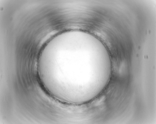 X0000088910016200706221941