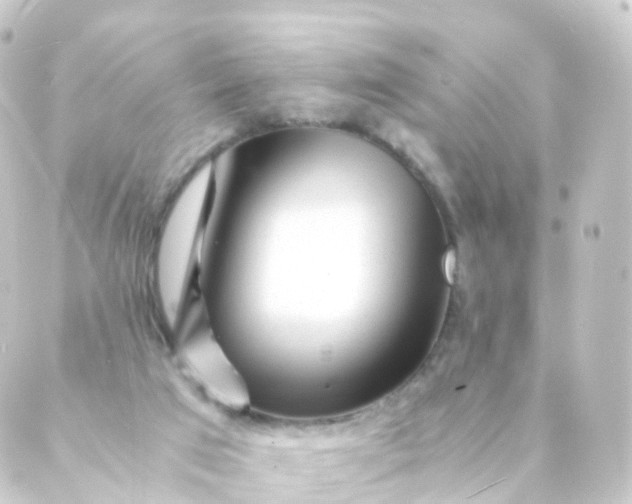 X0000088910017200706221941