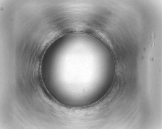 X0000088910018200706221941