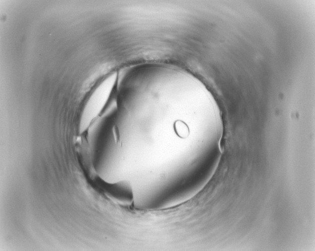 X0000088910019200706221941