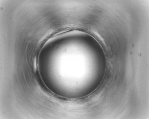 X0000088910020200706221941