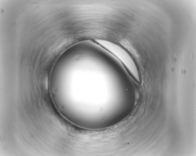 X0000088910021200706221941