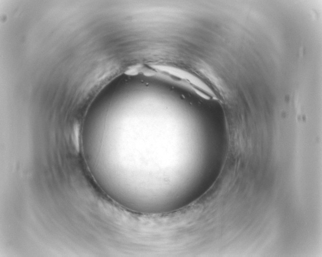 X0000088910022200706221941