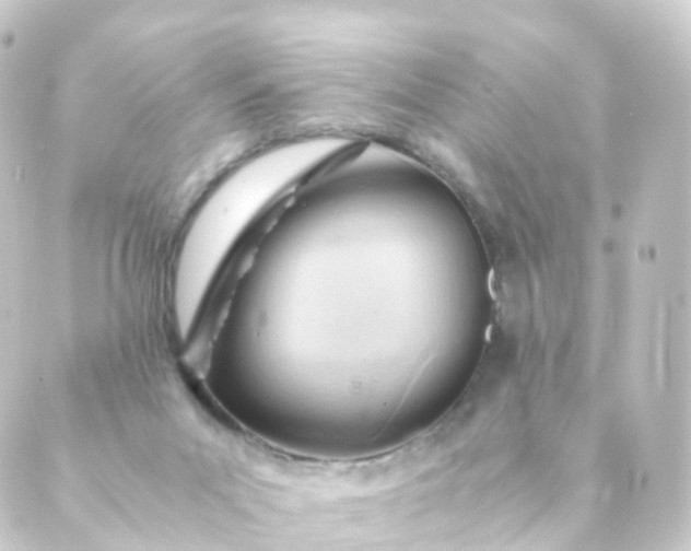 X0000088910023200706221941