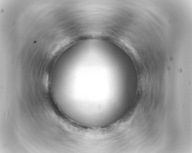 X0000088910024200706221941