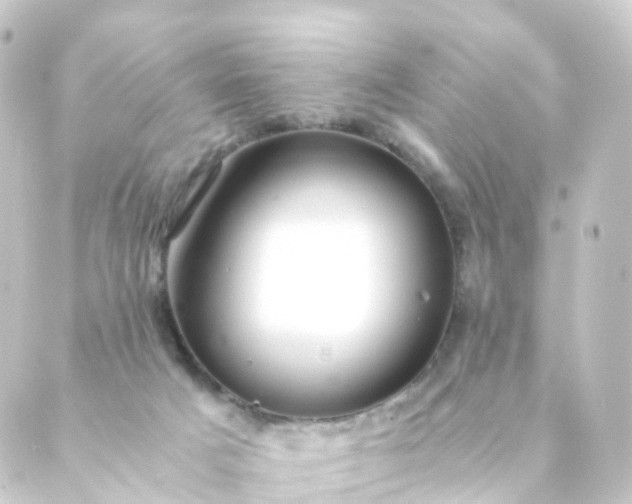 X0000088910025200706221941