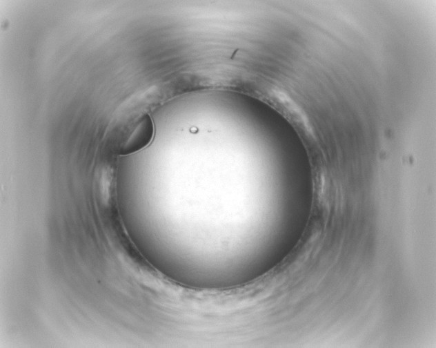 X0000088910026200706221941