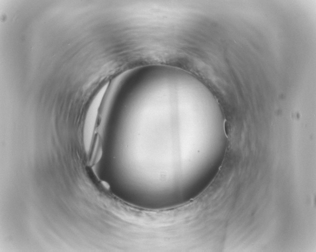 X0000088910027200706221940