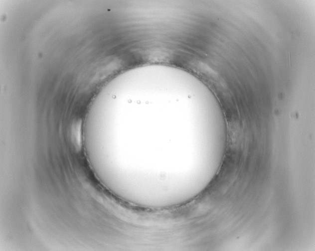 X0000088910028200706221940