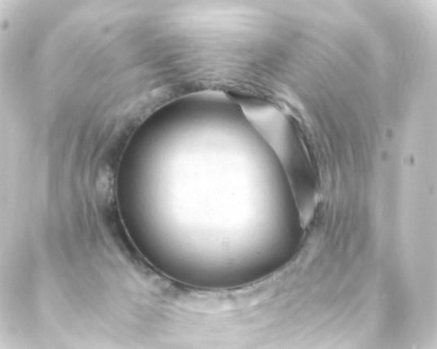 X0000088910029200706221940