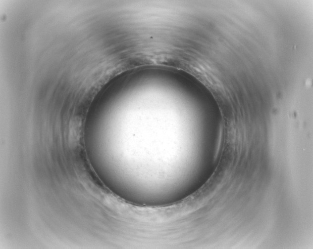 X0000088910030200706221940