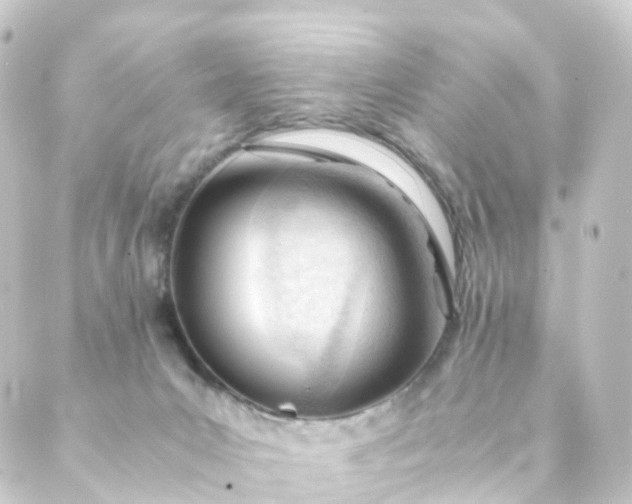 X0000088910031200706221940