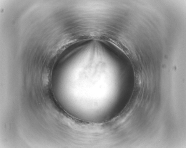 X0000088910032200706221940