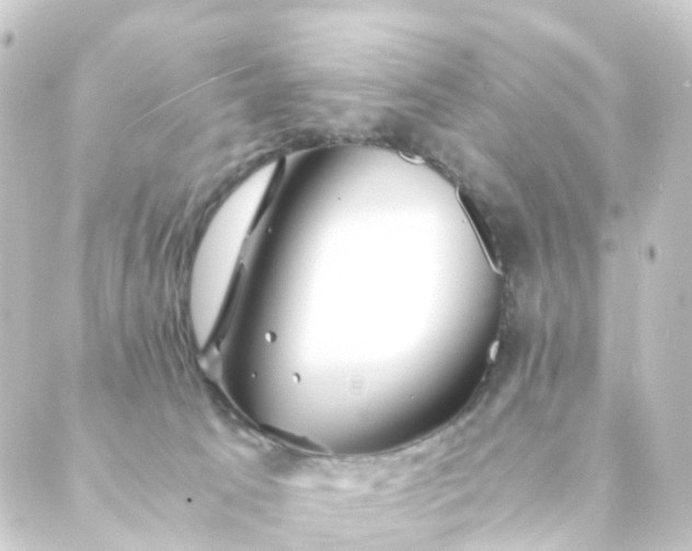 X0000088910033200706221940