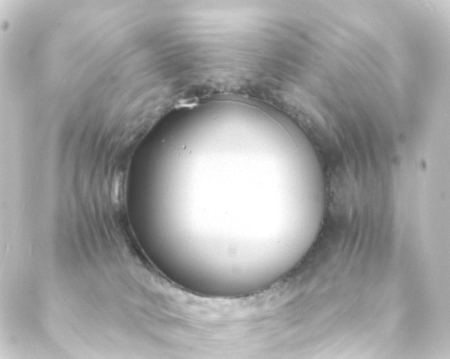 X0000088910034200706221940