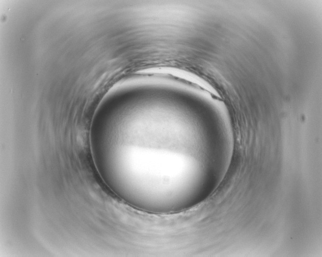 X0000088910035200706221940