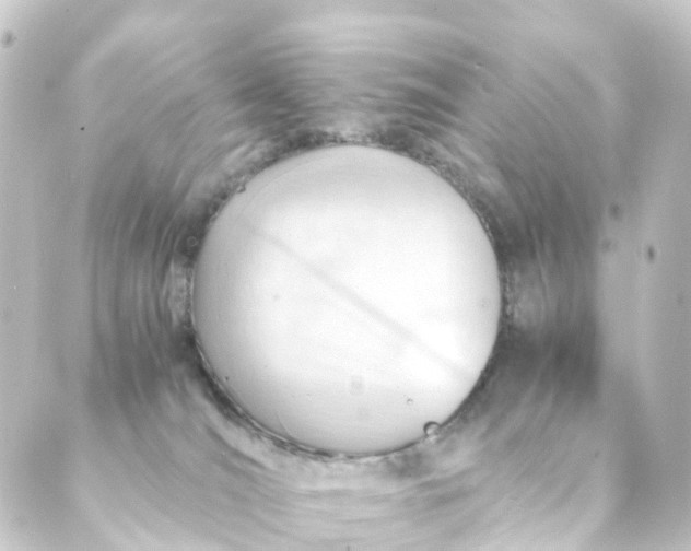 X0000088910036200706221940