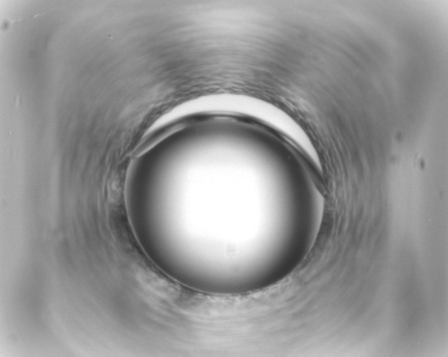 X0000088910037200706221940