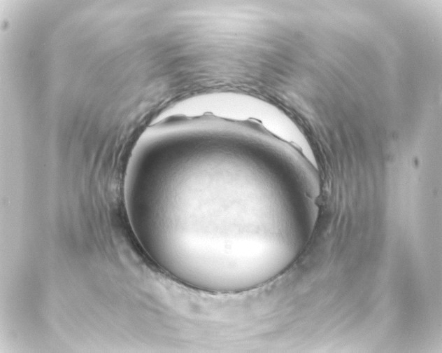 X0000088910039200706221940