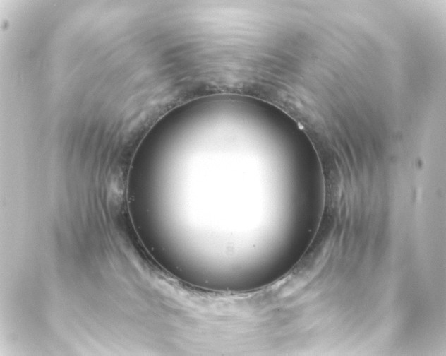 X0000088910040200706221940