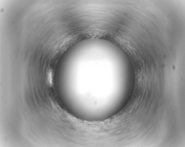 X0000088910042200706221940